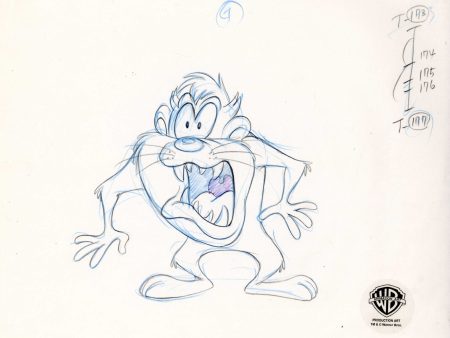 Looney Tunes Original Production Drawing:  Taz For Discount