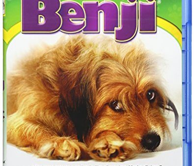 BENJI  - BLU For Discount